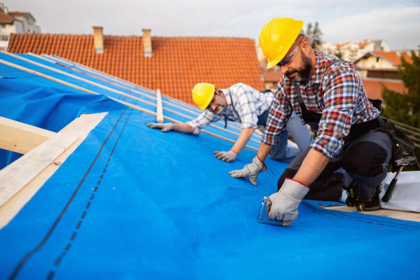 Best Gutter Installation and Roofing  in Hortonville, WI